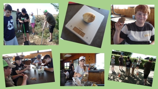 Kartoffeltag 2026